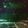 M. WARD – migration stories (CD, LP Vinyl)