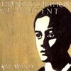 M. WARD – transfiguration of vincent (LP Vinyl)