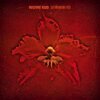 MACHINE HEAD – burning red (LP Vinyl)