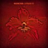 MACHINE HEAD – burning red (LP Vinyl)