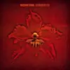 MACHINE HEAD – burning red (LP Vinyl)