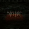 MAGIC TUBER STRINGBAND – needlefall (LP Vinyl)