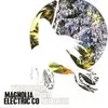 MAGNOLIA ELECTRIC CO. – what comes after the blues (CD, LP Vinyl)