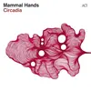 MAMMAL HANDS – circadia (CD, LP Vinyl)