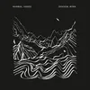 MAMMAL HANDS – shadow work (CD, LP Vinyl)