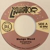 MANGO WOOD – bangarang (7" Vinyl)