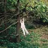 MAPLE GLIDER – to enjoy is the only thing (CD, LP Vinyl)