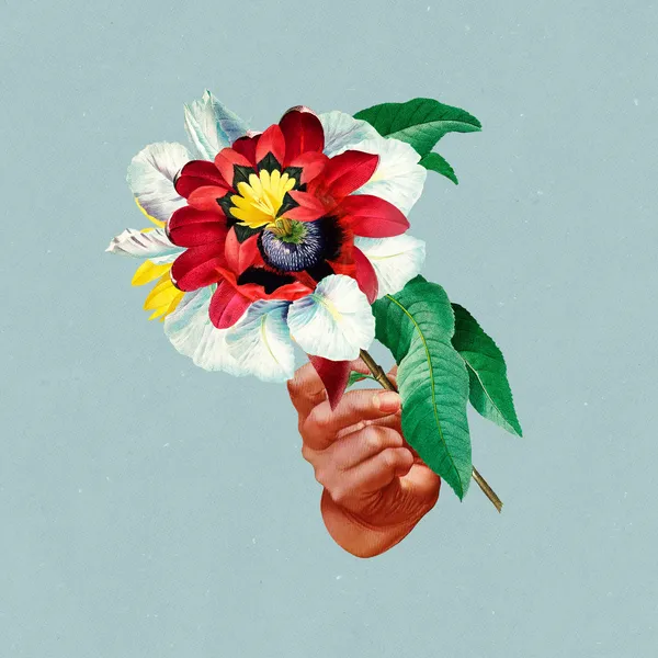 MARIBOU STATE – kingdoms in colour (LP Vinyl)
