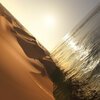 MARK PRITCHARD – under the sun (CD, LP Vinyl)