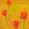 MARMOSET – florist fired (CD, LP Vinyl)