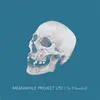 MEANWHILE PROJECT LTD – sir mandrill (LP Vinyl)