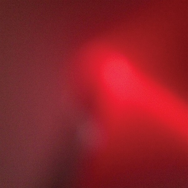 Cover MEAT WAVE, the incessant