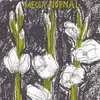 MECCA NORMAL – s/t (CD, LP Vinyl)