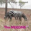 MEKONS 77 – it is twice blessed (CD, LP Vinyl)