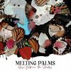 MELTING PALMS – noise between the shades (CD, LP Vinyl)