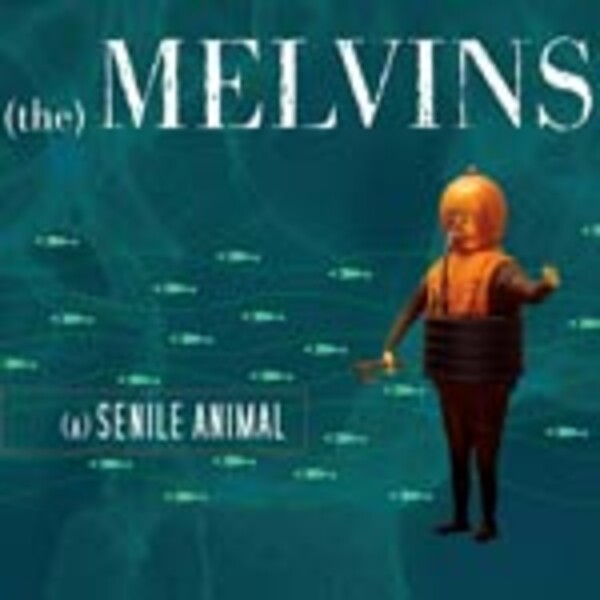 Cover MELVINS, (a) senile animal