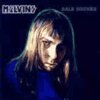 MELVINS – dale crover (LP Vinyl)
