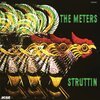 METERS – struttin (LP Vinyl)