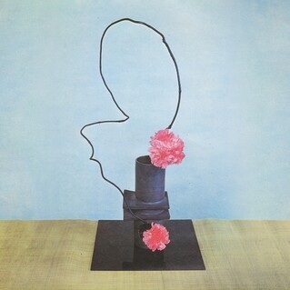 METHYL ETHEL – on inhuman spectacle (CD, LP Vinyl)