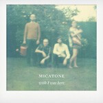 Cover MICATONE, wish i was here