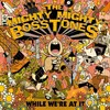 MIGHTY MIGHTY BOSSTONES – while we´re at it (CD)