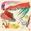 MILD HIGH CLUB & KING GIZZARD & THE LIZARD WIZARD – rolling stoned (7" Vinyl)
