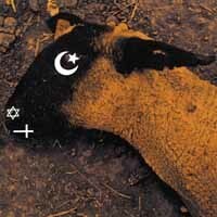 MINISTRY – animositisomina (LP Vinyl)