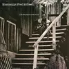 MISSISSIPPI FRED MCDOWELL – i do not play no rock´n´roll (LP Vinyl)