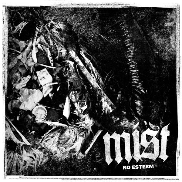 MIST – no esteem (LP Vinyl)