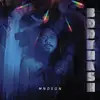 MNDSGN – body wash (LP Vinyl)