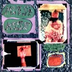 MODEST MOUSE – sad sappy sucker (LP Vinyl)