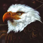 MOGWAI – hawk is howling (LP Vinyl)