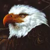 MOGWAI – hawk is howling (LP Vinyl)