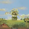 MOJAVE 3 – spoon and rafter (CD, LP Vinyl)