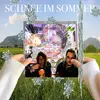 MOLA – schnee im sommer (LP Vinyl)
