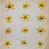 MOLOCHS – flowers in the spring (CD, LP Vinyl)