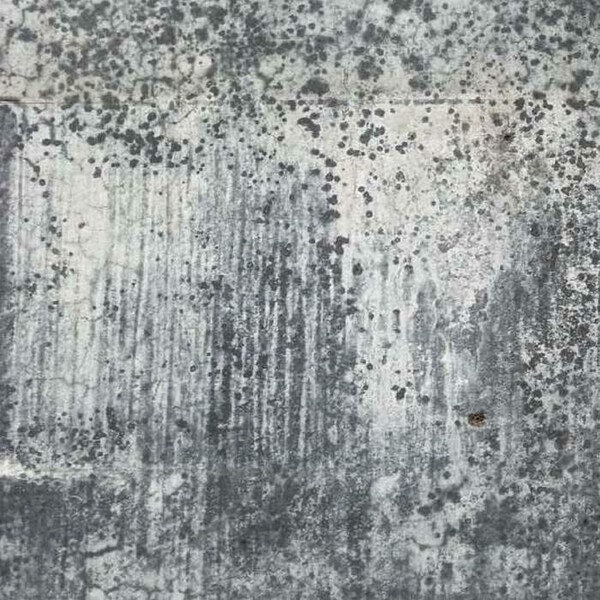 Cover MONAD NODE, der drops ist geglitcht