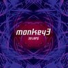 MONKEY 3 – 39 laps (LP Vinyl)