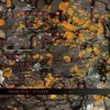 MONOLAKE – studio (CD)