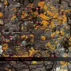 MONOLAKE – studio (CD)