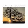 MOUNTAIN GOATS – sunset tree (LP Vinyl)