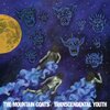 MOUNTAIN GOATS – transcendental youth (CD, LP Vinyl)