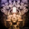 MR. BISON – echoes from the universe (LP Vinyl)