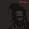 MR. RAOUL K – african paradigm (LP Vinyl)