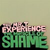 MR. T EXPERIENCE – miracle of shame (CD, LP Vinyl)