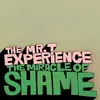MR. T EXPERIENCE – miracle of shame (CD, LP Vinyl)