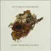 MT. ST. HELENS VIETNAM BAND – where the messengers meet (CD, LP Vinyl)