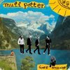 MUFF POTTER – gute aussicht (LP Vinyl)