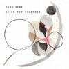 NADA SURF – never not together (CD, LP Vinyl)