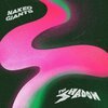 NAKED GIANTS – the shadow (CD, LP Vinyl)